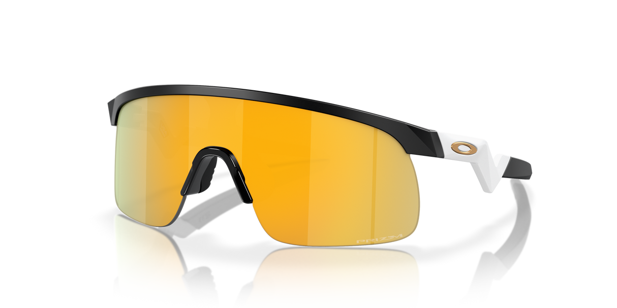 Oakley Resistor Sunglasses-2