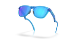 Oakley Frogskins Hybrid Glasses-5