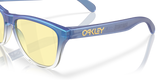 Oakley Frogskins XS Glasses-6
