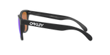 Oakley Frogskins Glasses-8