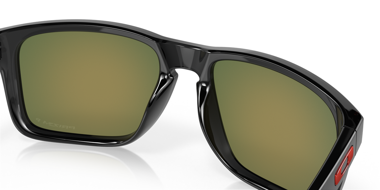 Oakley Holbrook XL Glasses-11