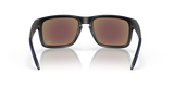 Oakley Holbrook NFL Glasses-6