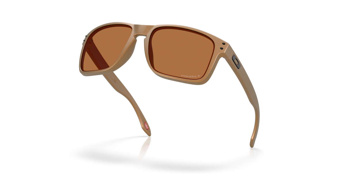 Oakley Holbrook XL Glasses-5