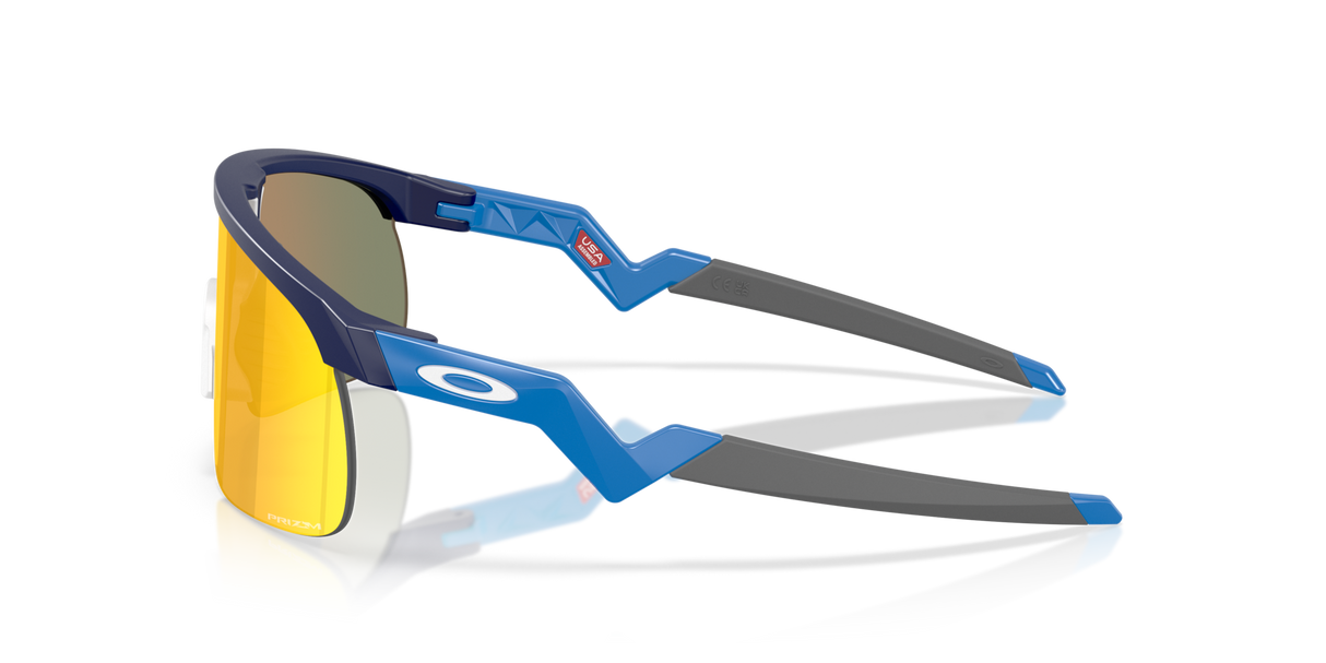 Oakley Resistor Sunglasses-3