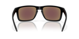 Oakley Holbrook XXL Glasses-4