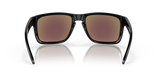 Oakley Holbrook XL Glasses-7