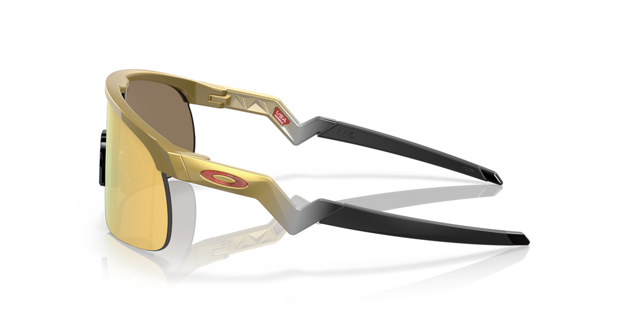 Oakley Resistor NFL Sunglasses-4