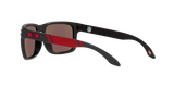 Oakley Holbrook NFL Glasses-11