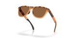 Oakley Frogskins Range XL A Glasses-5