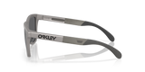 Oakley Frogskins Range A Glasses-3