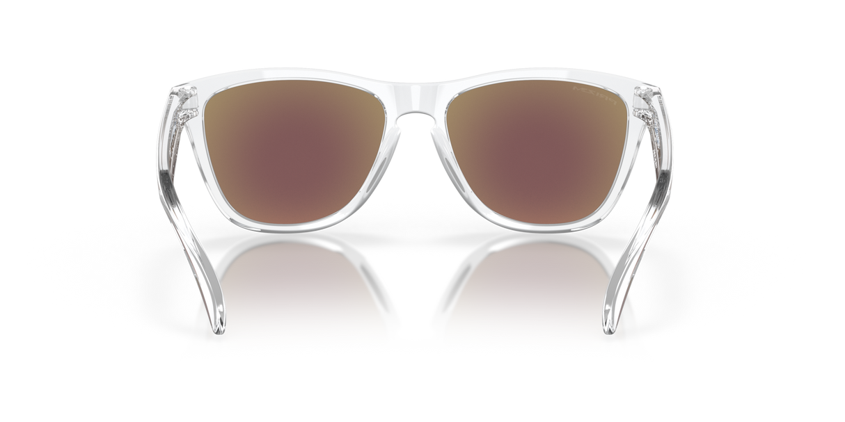 Oakley Frogskins Glasses-7
