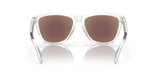 Oakley Frogskins Glasses-7