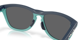 Oakley Frogskins Range A Glasses-7