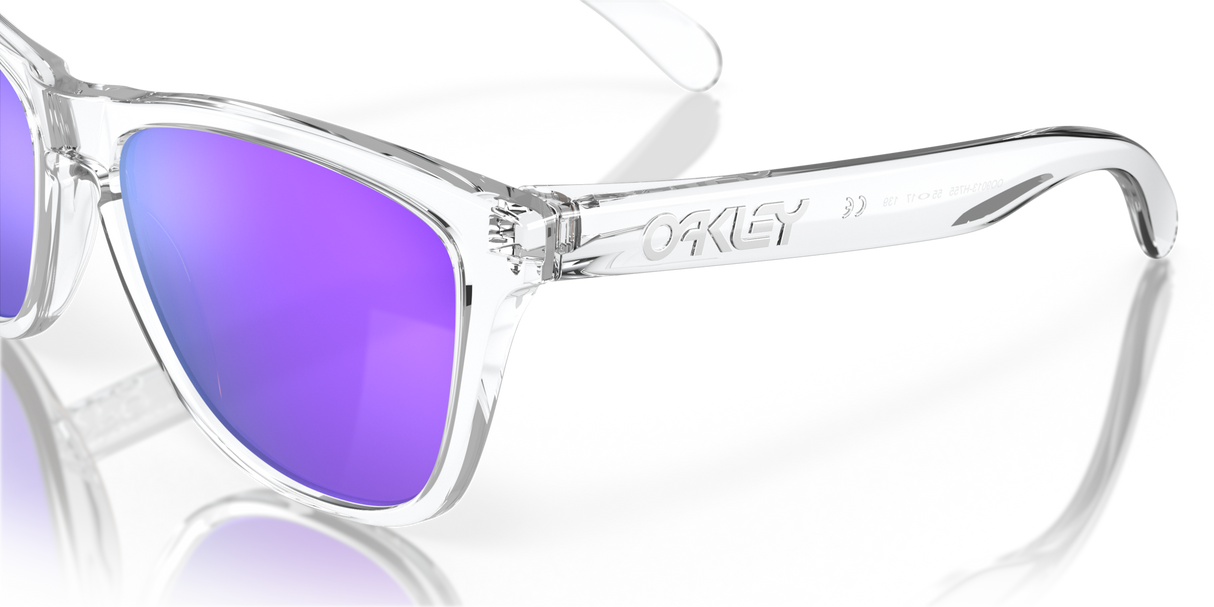 Oakley Frogskins Glasses-10