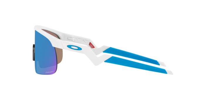 Oakley Resistor Sunglasses-11