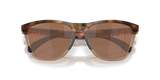 Oakley Frogskins Range XL Glasses-9