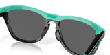 Oakley Frogskins Range Glasses-7