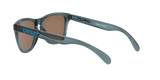 Oakley Frogskins Glasses-12