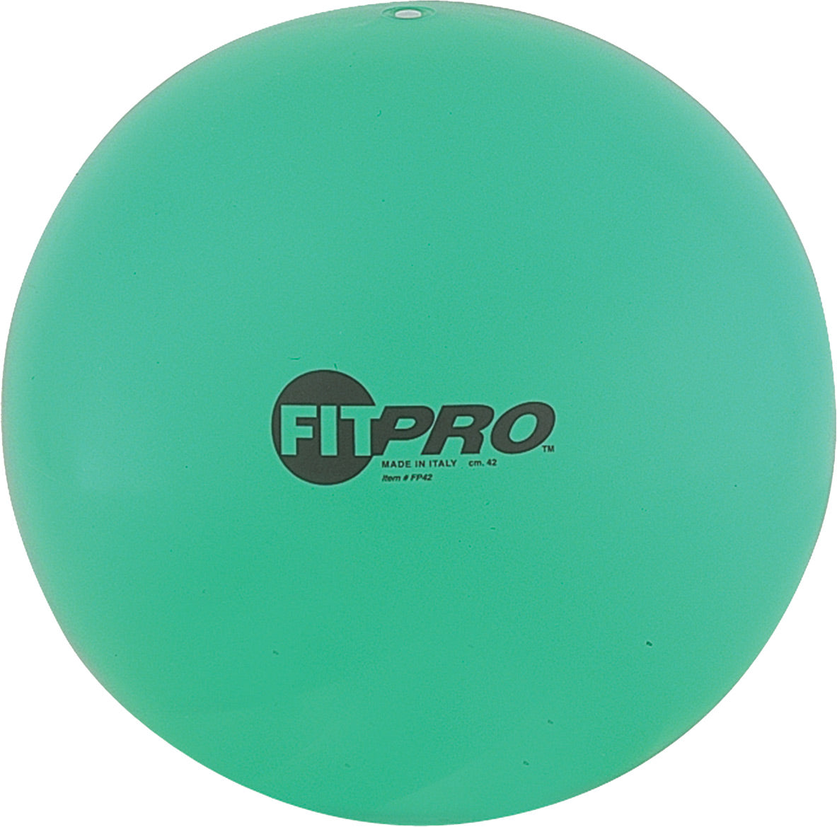 Champion Sports Fitpro Training/Exercise Ball Champion Sports