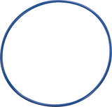 Champion Sports 24 Inch Plastic Hoops Champion Sports
