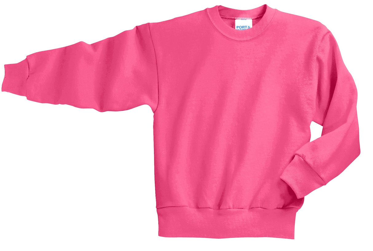 Port & Company - Youth Core Fleece Crewneck Sweatshirt