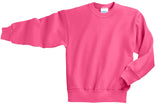 Port & Company - Youth Core Fleece Crewneck Sweatshirt