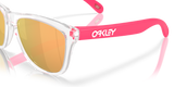 Oakley Frogskins A Glasses-6