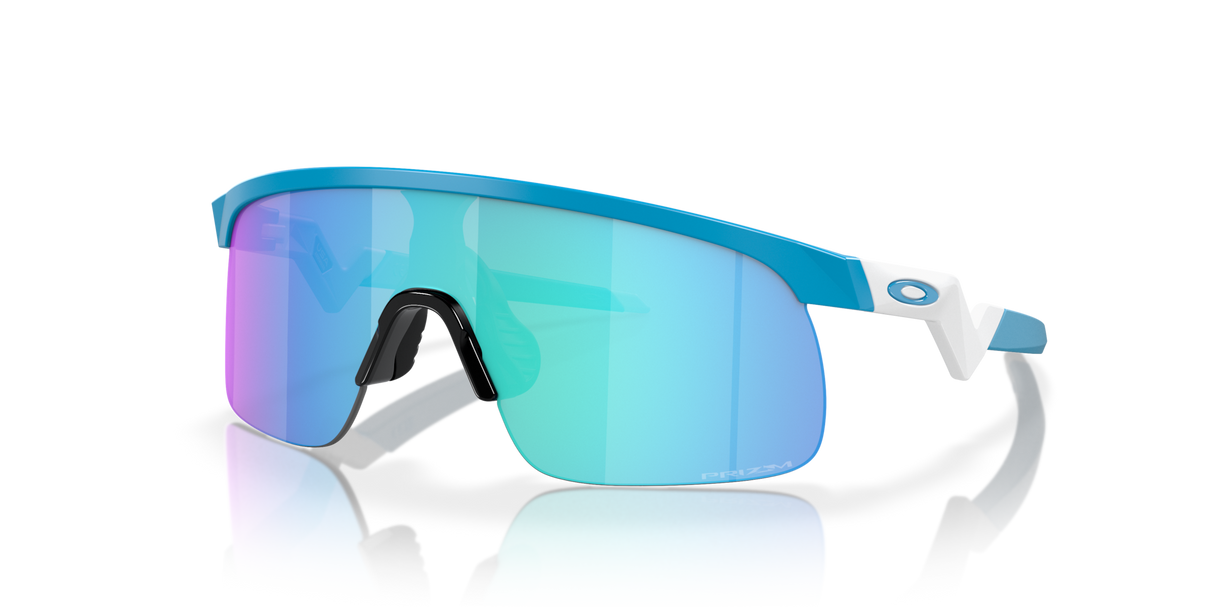Oakley Resistor Sunglasses-2