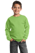 Port & Co Youth   Core Fleece Crewneck Sweatshirt-1