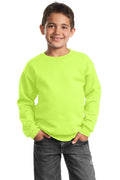 Port & Co Youth   Core Fleece Crewneck Sweatshirt-1