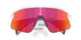 Oakley Stunt Devil Sunglasses-9