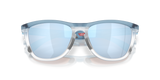 Oakley Frogskins Range XL Glasses-9