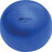 Champion Sports Fitpro BRT Training & Exercise Ball Champion Sports