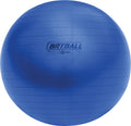 Champion Sports Fitpro BRT Training & Exercise Ball Champion Sports