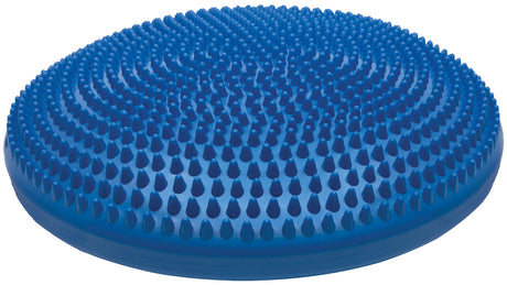 Champion Sports 14 Inch Exercise Disc Champion Sports
