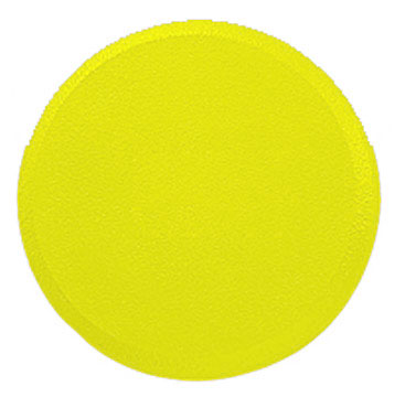 Champion Sports Yellow Foam Disc Champion Sports