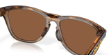 Oakley Frogskins Range A Glasses-7
