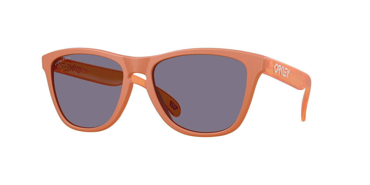 Oakley Frogskins Glasses-1