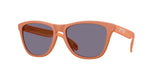 Oakley Frogskins Glasses-1