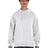 ComfortWash by Hanes Unisex Tearaway Pullover Hoodie Hanes