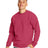 Hanes Men's Ecosmart Crewneck Sweatshirt Mens Apparel Sweatshirts & Fleece