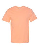 Hanes Men's Authentic T-Shirt