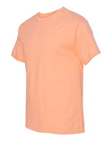 Hanes Men's Authentic T-Shirt