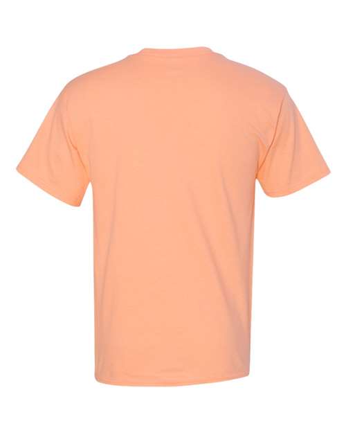 Hanes Men's Authentic T-Shirt