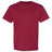 Hanes Men's Ecosmart? T-Shirt Hanes