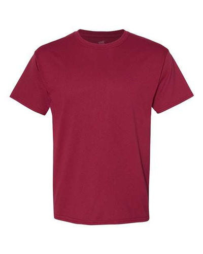Hanes Men's Ecosmart? T-Shirt