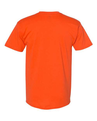 Hanes Men's Ecosmart? T-Shirt