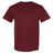 Hanes Men's Ecosmart? T-Shirt Hanes