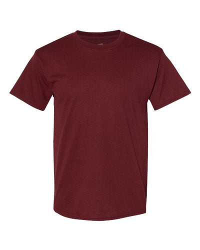 Hanes Men's Ecosmart? T-Shirt