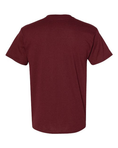 Hanes Men's Ecosmart? T-Shirt